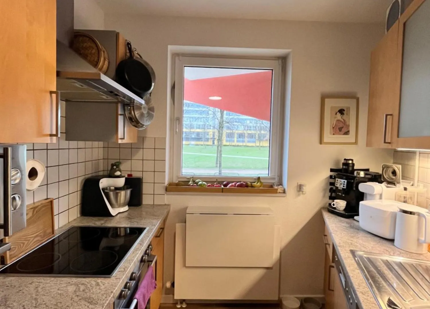 Separate Privat Room In Shared Apartment With 2 Cats And 1 Person Düsseldorf